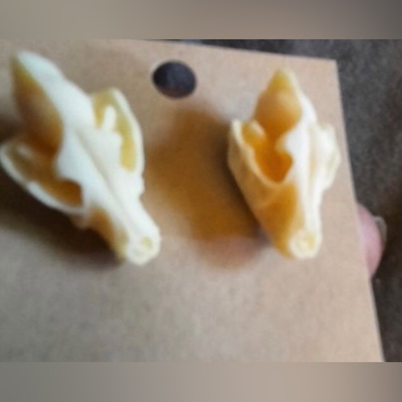 “Animal Skull” Dinosaur Sabertooth Wolf Dog Oddity Creepy Spooky Replica Studs - Picture 10 of 12